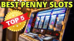 5577bet