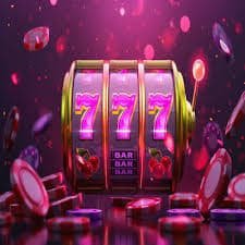 5577bet